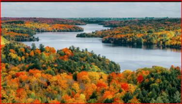 Image for: FALL COLOURS 
